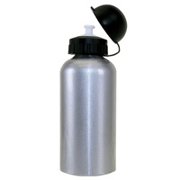 Waterbottle Alloy 500ML Silver