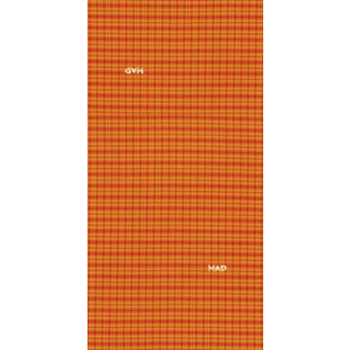 Had Headwear Multisquare Orange 
